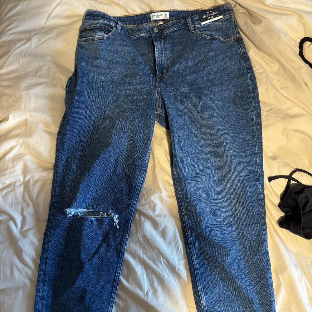 NWT Abercrombie The Mom Jean High Rise 18 Long Curve Love
